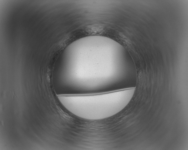 X0000076430570200610061002
