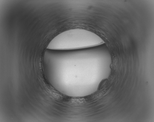 X0000076430571200610061002