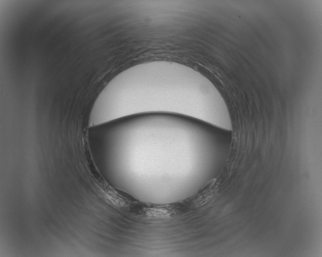 X0000076430572200610061002