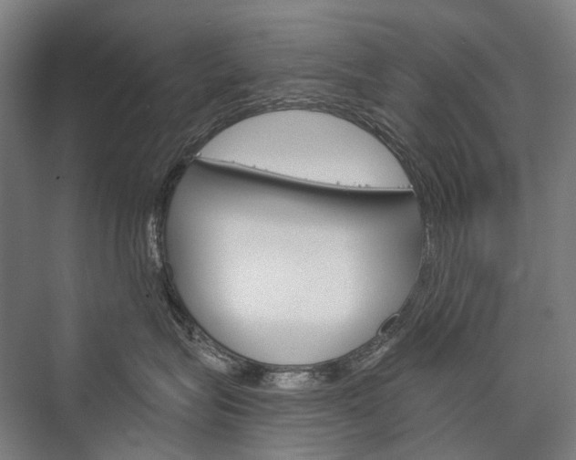 X0000076430575200610061002