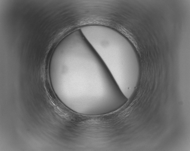 X0000076430578200610061002
