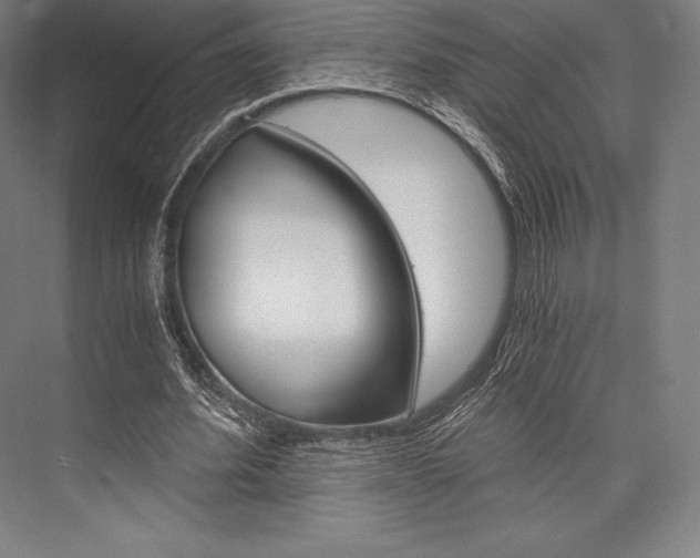 X0000076430580200610061001