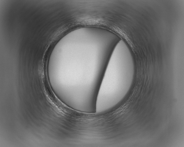 X0000076430582200610061001