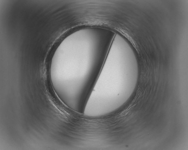 X0000076430584200610061001