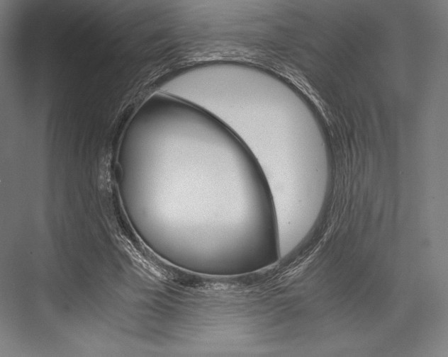 X0000076430585200610061001