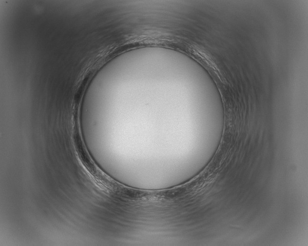 X0000076430586200610061001