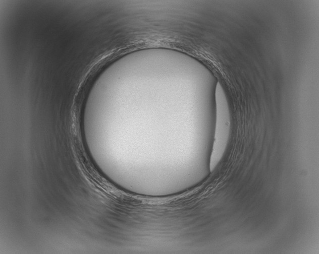 X0000076430587200610061001
