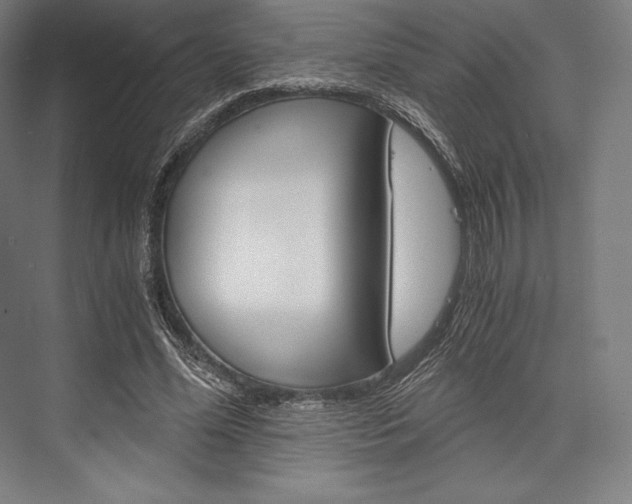 X0000076430588200610061001