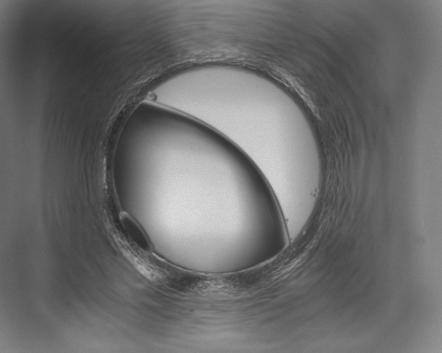 X0000076430589200610061001