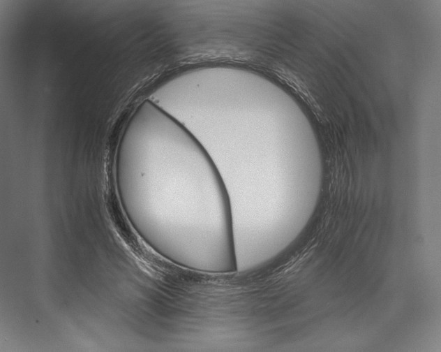 X0000076430590200610061001
