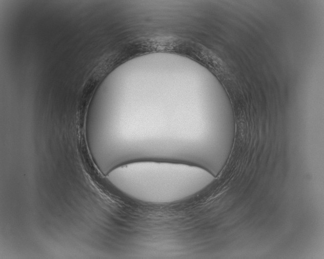 X0000076430594200610061001