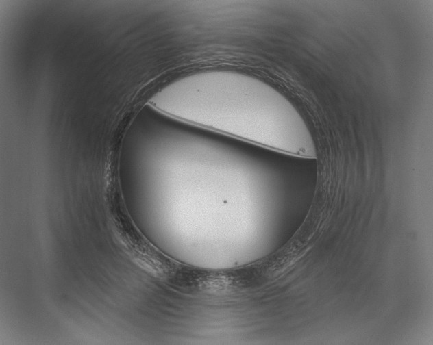 X0000076430600200610061001