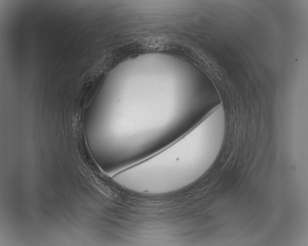 X0000076430601200610061001