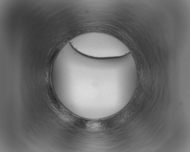 X0000076430602200610061001