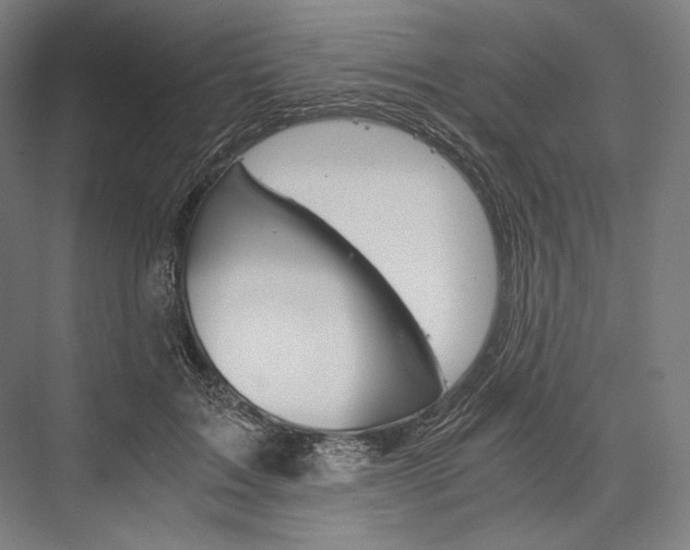 X0000076430603200610061001