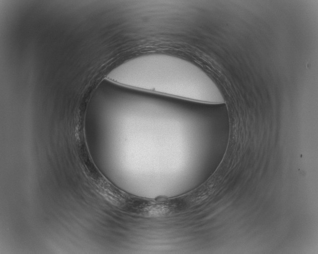 X0000076430604200610061001