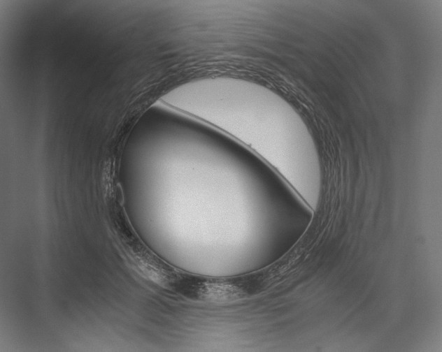 X0000076430605200610061001