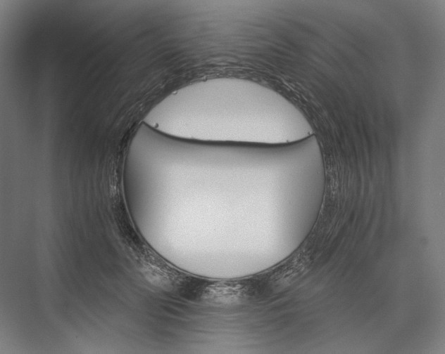 X0000076430606200610061001