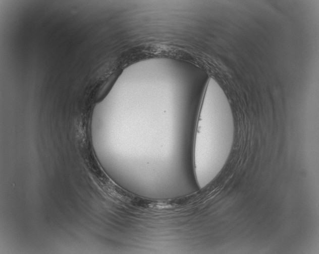 X0000076430607200610061001
