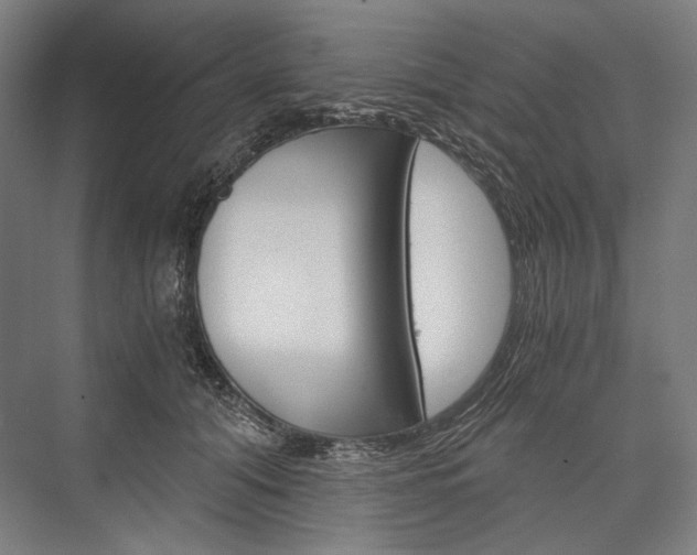 X0000076430608200610061001