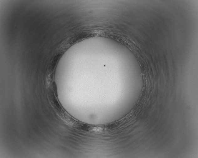 X0000076430611200610061001