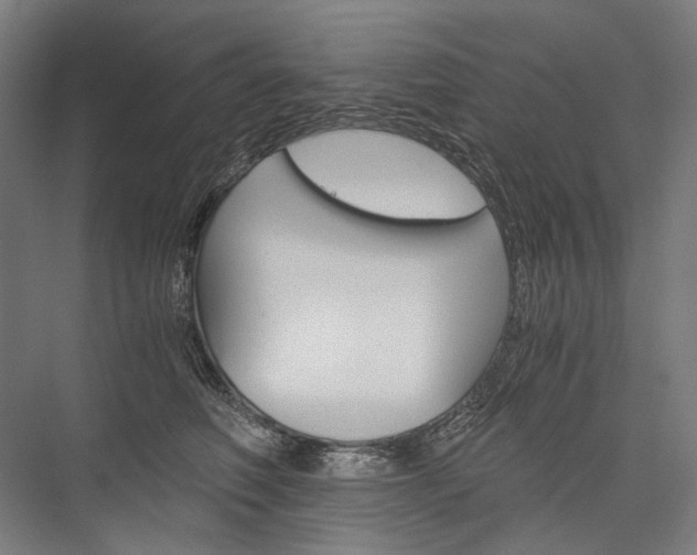 X0000076430614200610061001