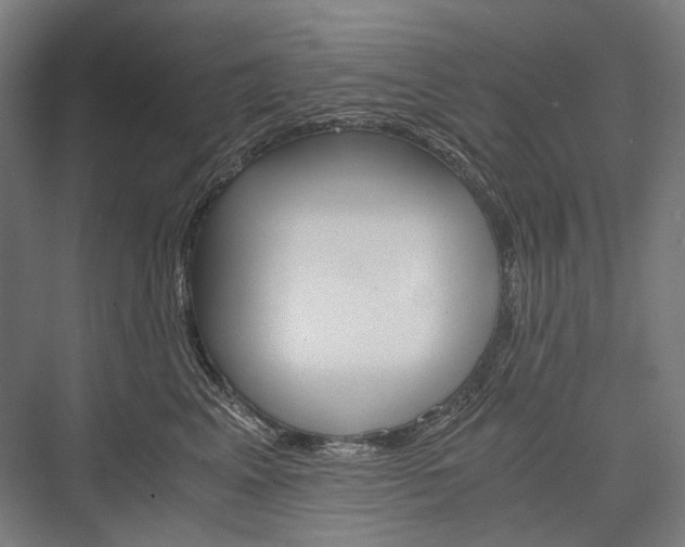 X0000076430617200610061001