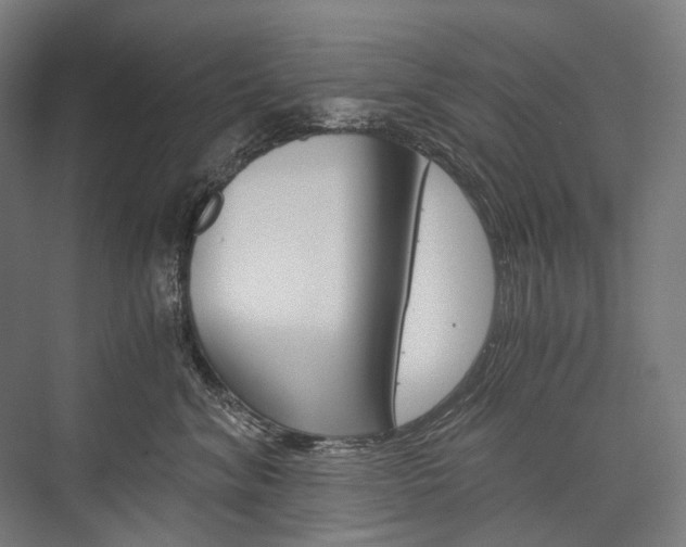 X0000076430620200610061001