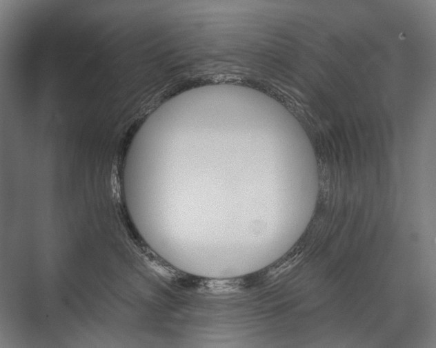 X0000076430622200610061001