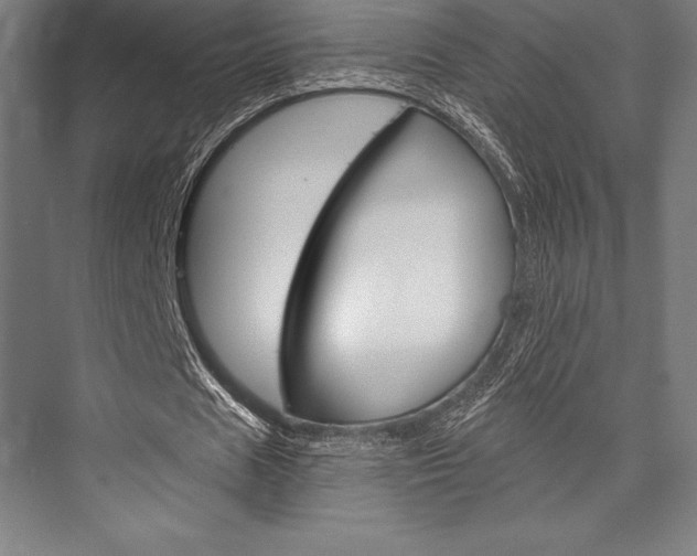 X0000076430625200610061000