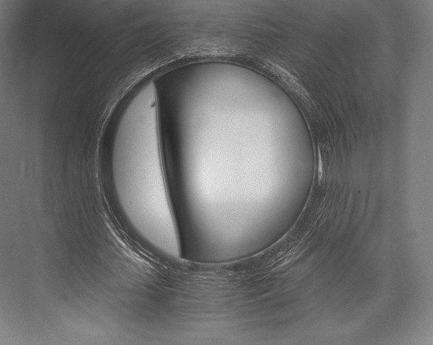 X0000076430627200610061000