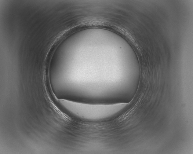X0000076430629200610061000