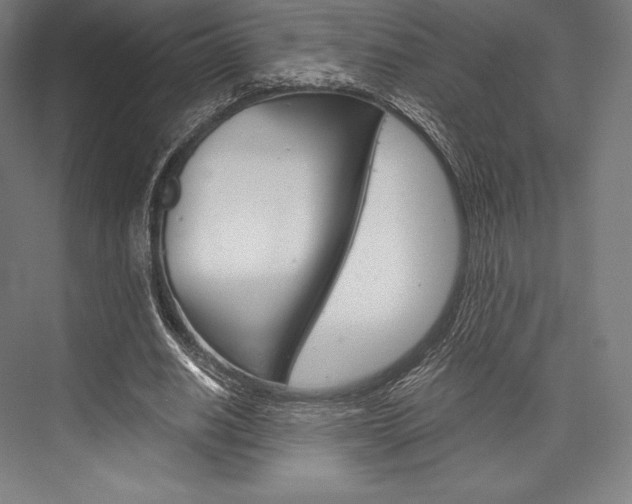 X0000076430630200610061000