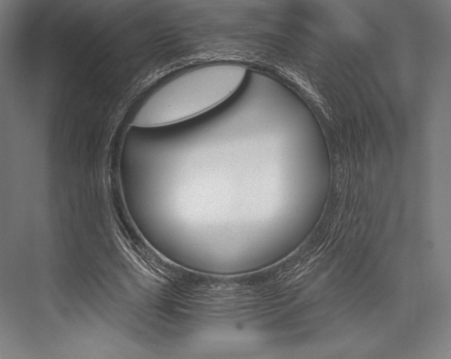 X0000076430631200610061000