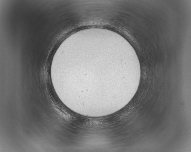 X0000076430632200610061000