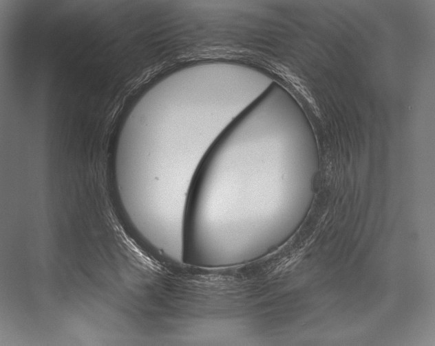 X0000076430633200610061000