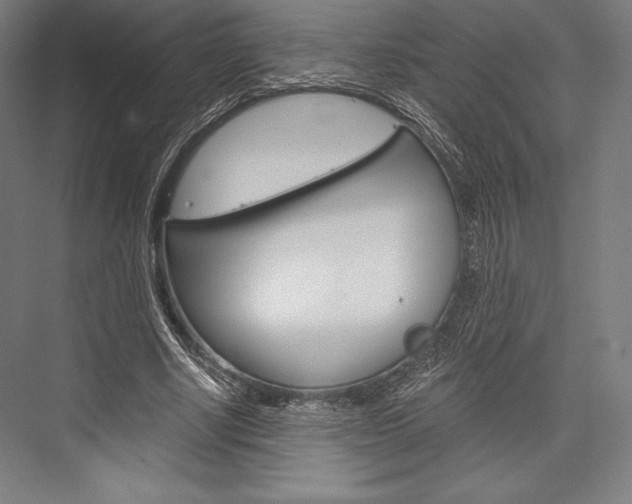 X0000076430634200610061000