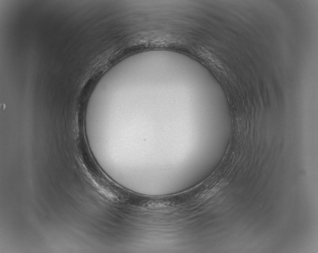 X0000076430638200610061000