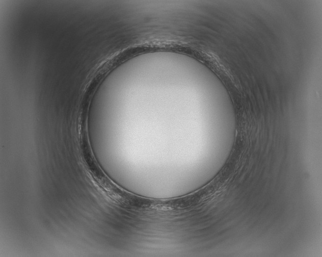X0000076430640200610061000