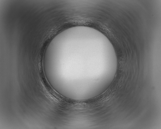 X0000076430642200610061000