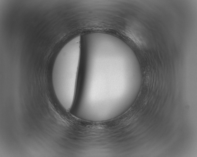 X0000076430643200610061000