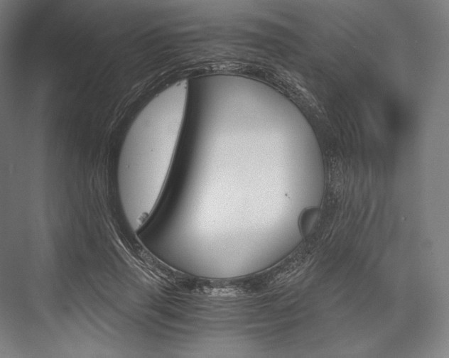 X0000076430645200610061000