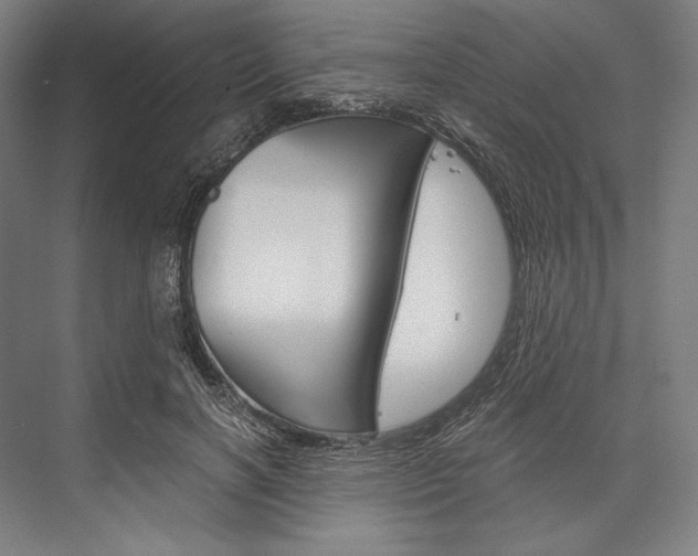 X0000076430646200610061000