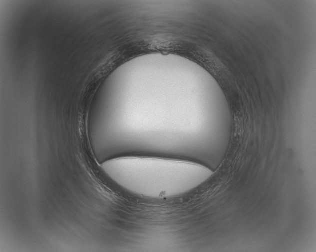 X0000076430648200610061000