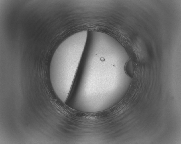X0000076430649200610061000