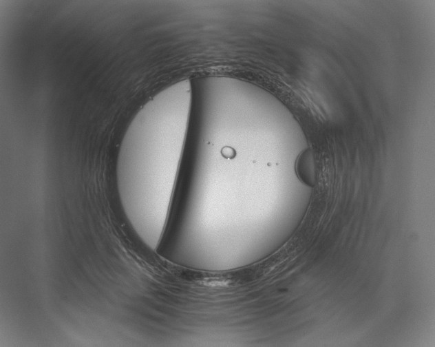 X0000076430651200610061000