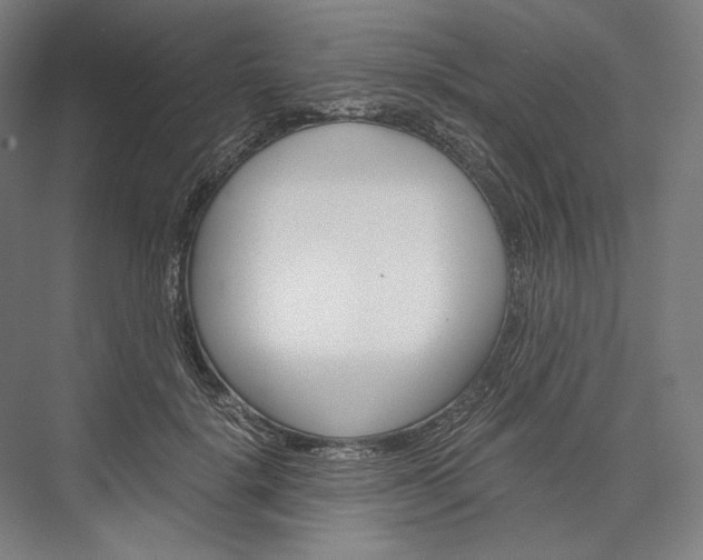 X0000076430652200610061000