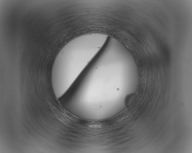 X0000076430653200610061000