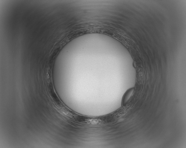 X0000076430654200610061000