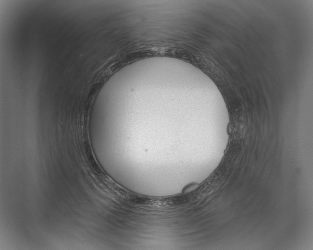 X0000076430656200610061000